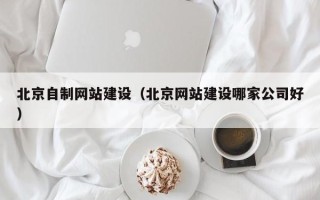 南充北京自制网站建设（北京网站建设哪家公司好）